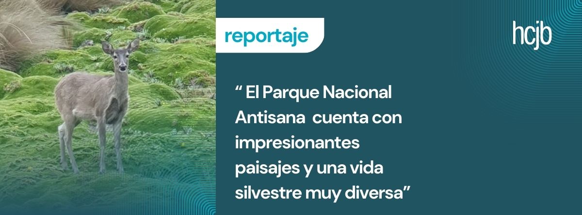 Parque Nacional Antisana, área protegida perfecta para conocer en familia