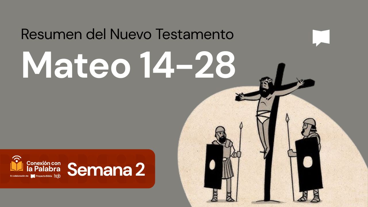 Resumen del  Nuevo Testamento: Mateo 14-28