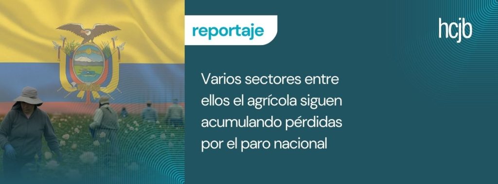 El sector florícola sigue acumulando pérdidas, más de USD 7 millones hasta el momento